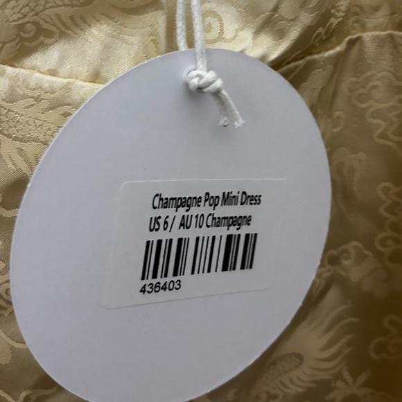 Princess Polly Champagne Pop Mini Dress Size 6 NEW WITH TAGS - Picture 3 of 3